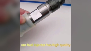 Echte Weichai-Dieselkraftstoff-Common-Rail-Kraftstoff-Diesel-Einspritzdüse 612600080611